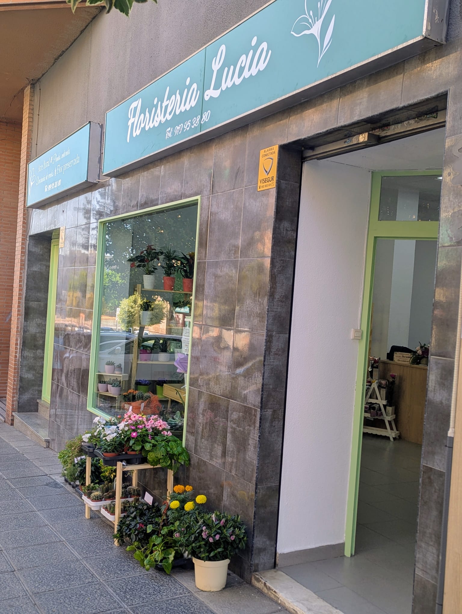 Interior de la floristería con cubos de flor fresca